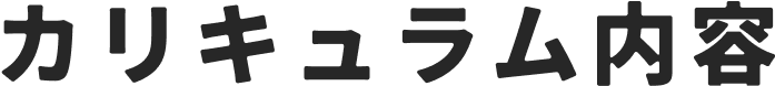 カリキュラム内容